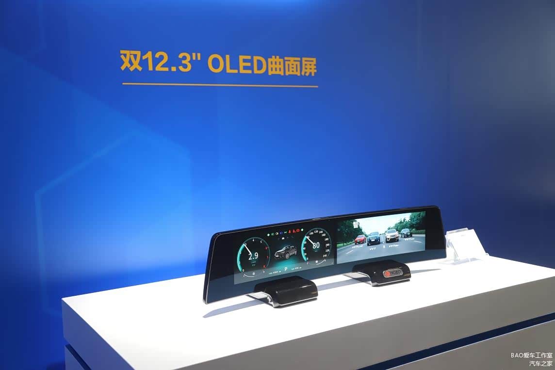 双12.3英寸 OLED曲面屏