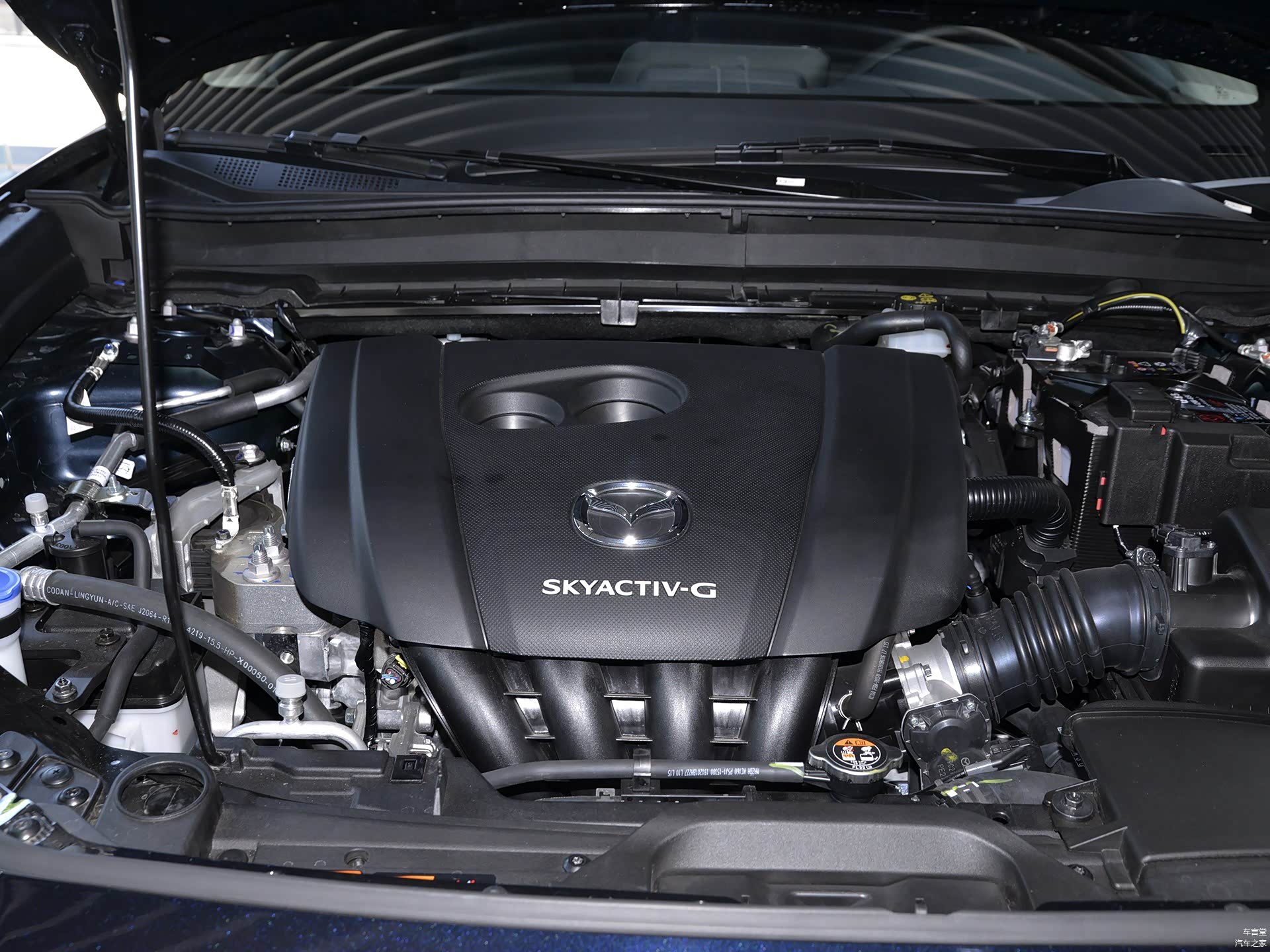 /引自汽车之家图库