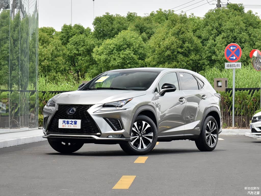 配图为2020款 300h 全驱 F SPORT 国VI