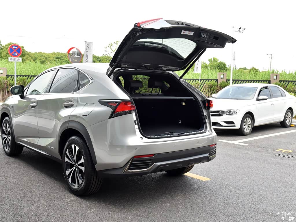 配图为2020款 300h 全驱 F SPORT 国VI