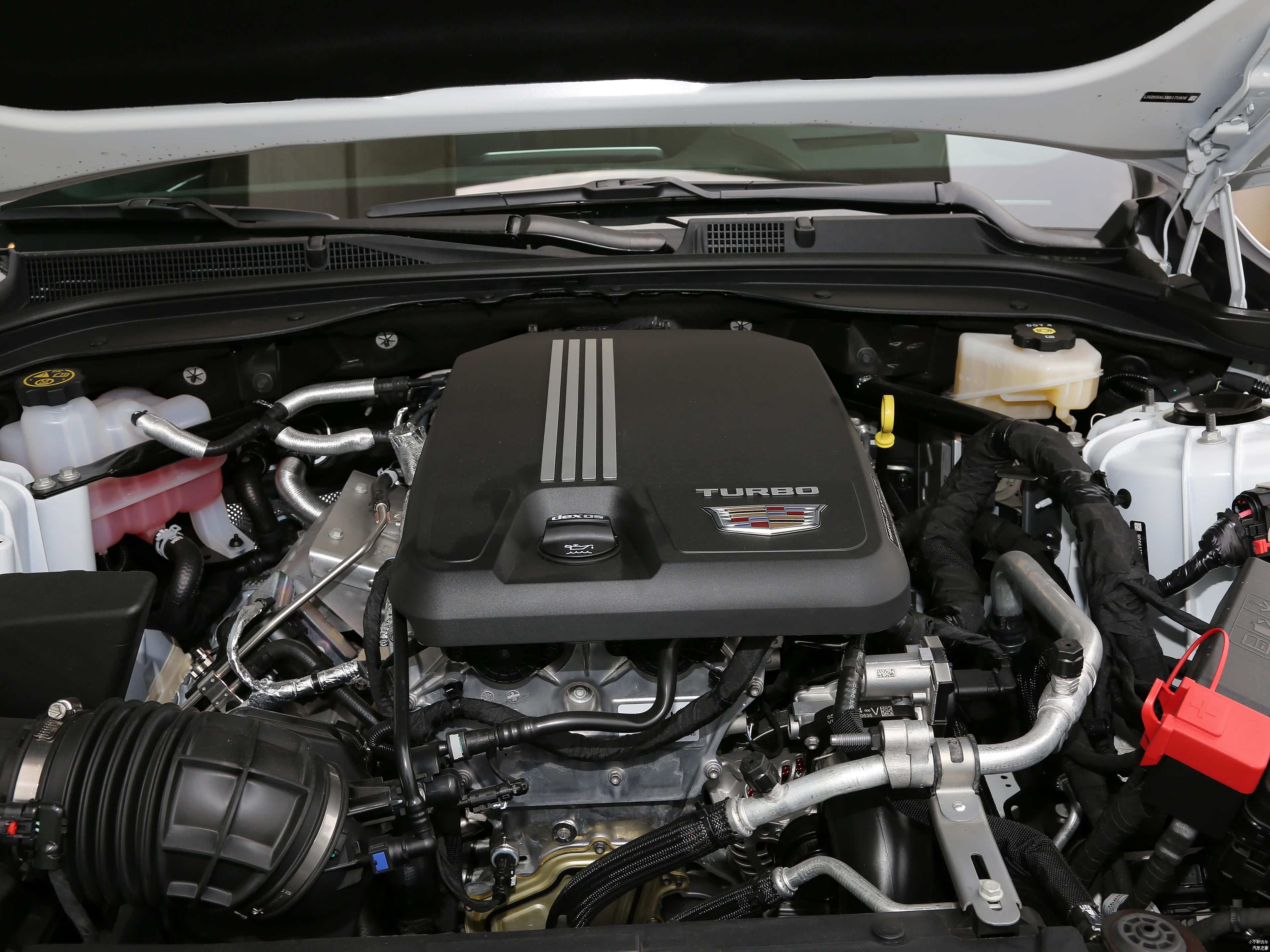 /引自汽车之家图库