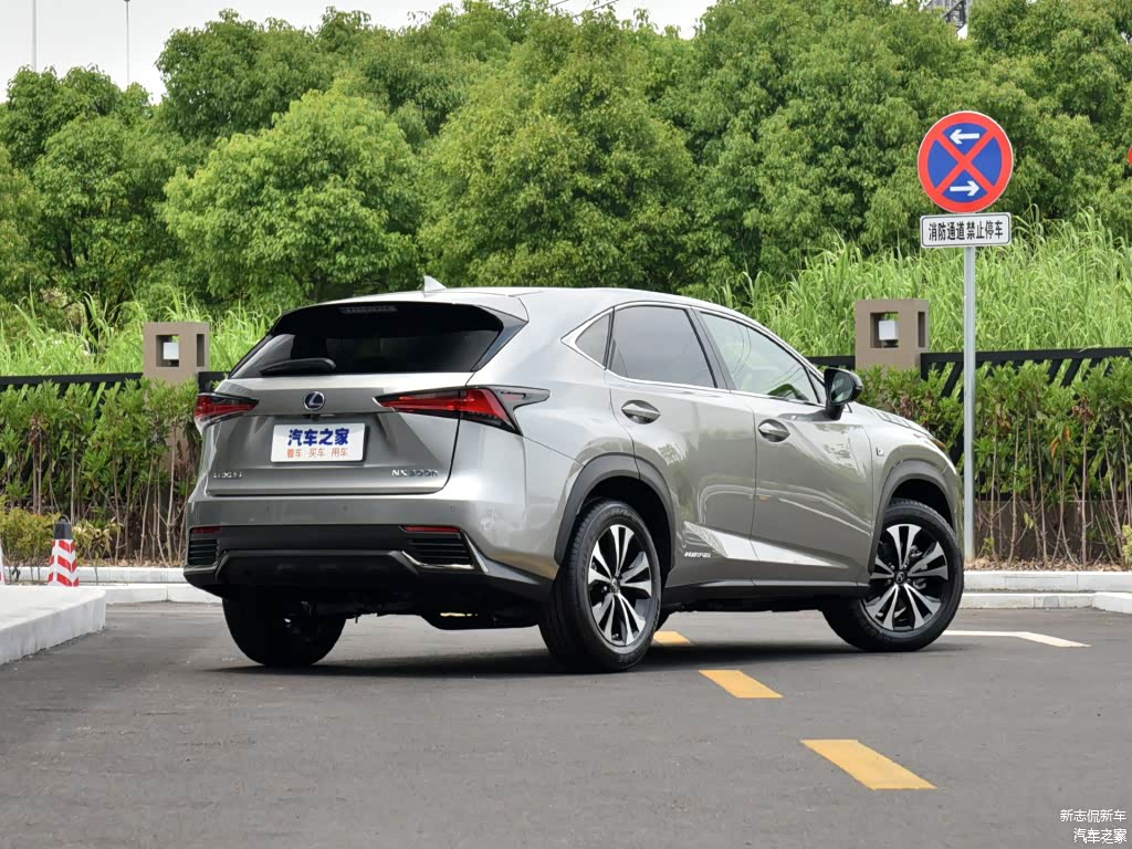 配图为2020款 300h 全驱 F SPORT 国VI