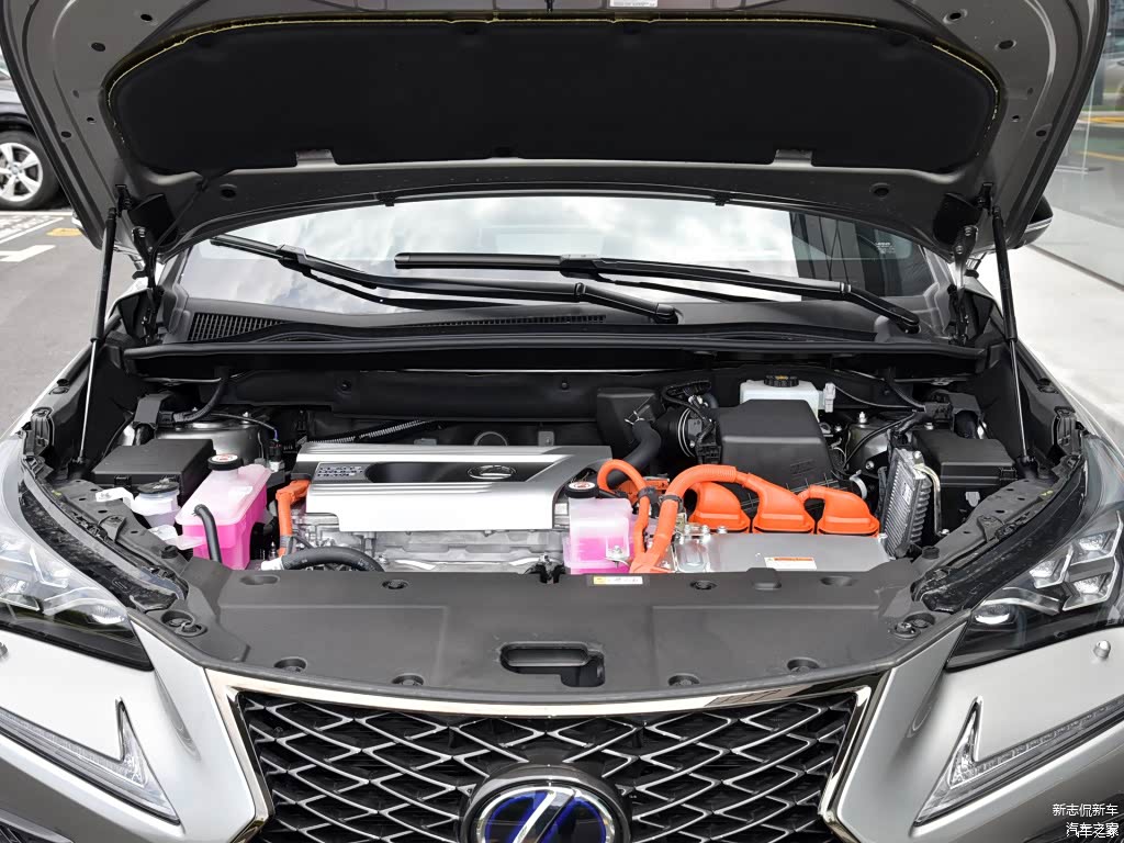 配图为2020款 300h 全驱 F SPORT 国VI