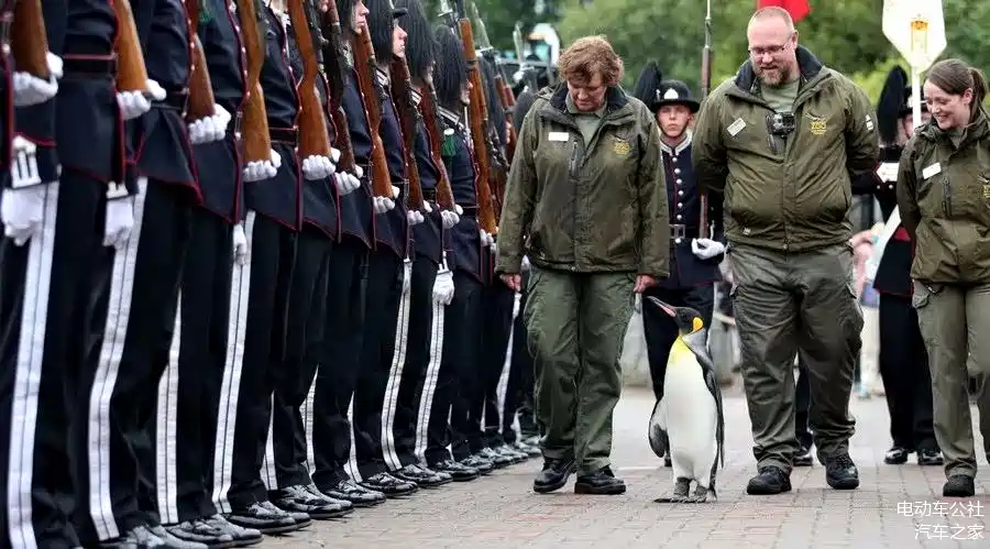 2016年8月22日,“布韦岛男爵”在爱丁堡动物园检阅国王卫队除了一句闲得dan