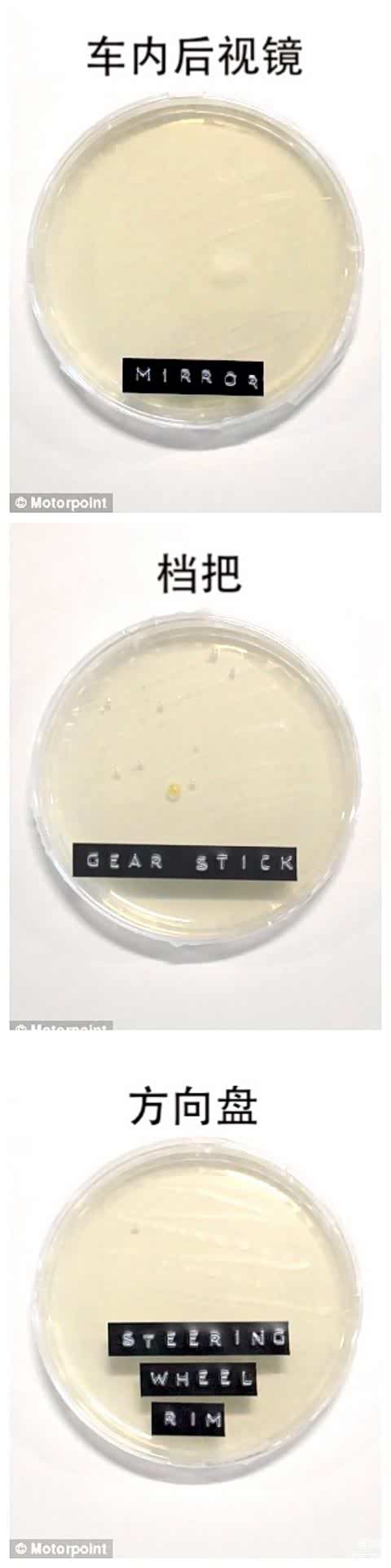 ▲Motorpoint 实验中车上“最干净”的3个部位