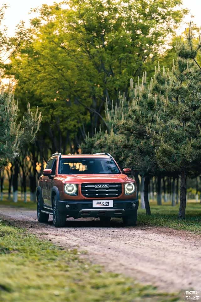 ta能陪你一起欣赏生命繁华的珍藏