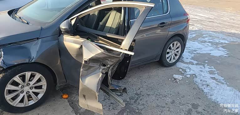 跟了我7年的小狮子宁可自己受重伤，也保全了车内所有人员的安全