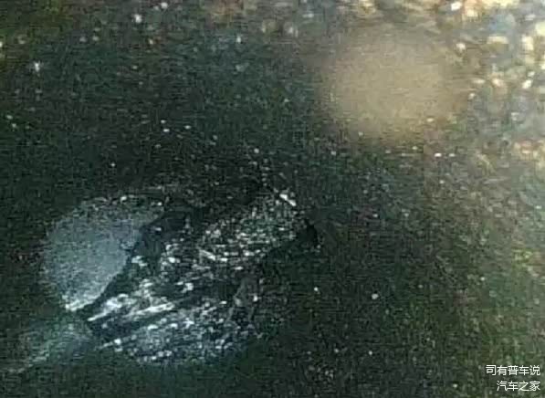 四缸厚厚的一层“煤”