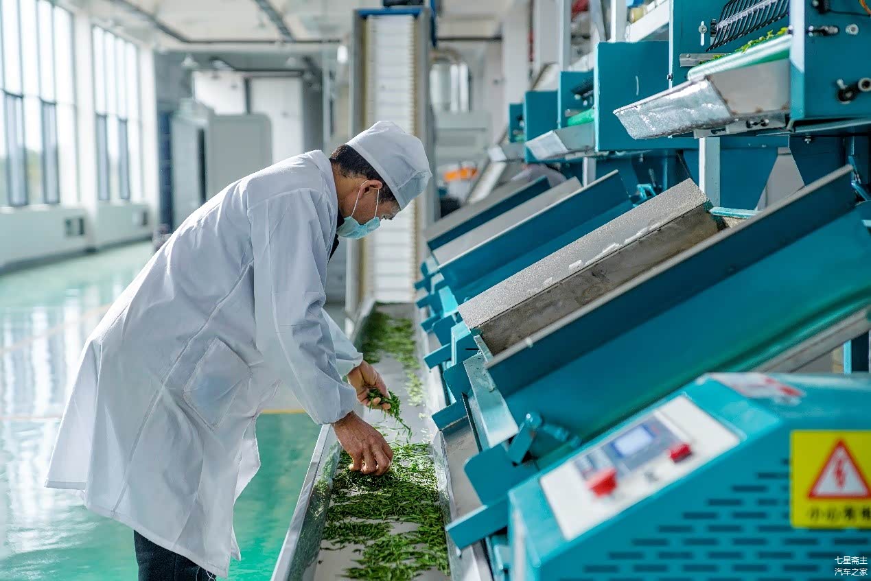 吉利帮扶的示范企业现代化制茶车间    佚名 摄影