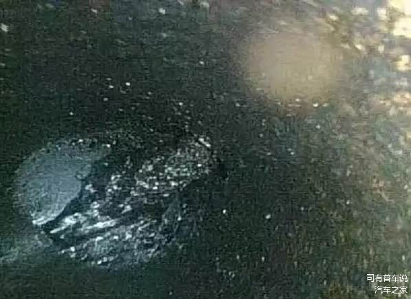 一缸厚厚的一层“煤”