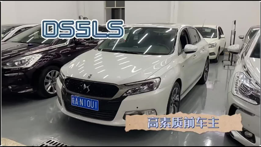 ds法国女神这车况是真的好