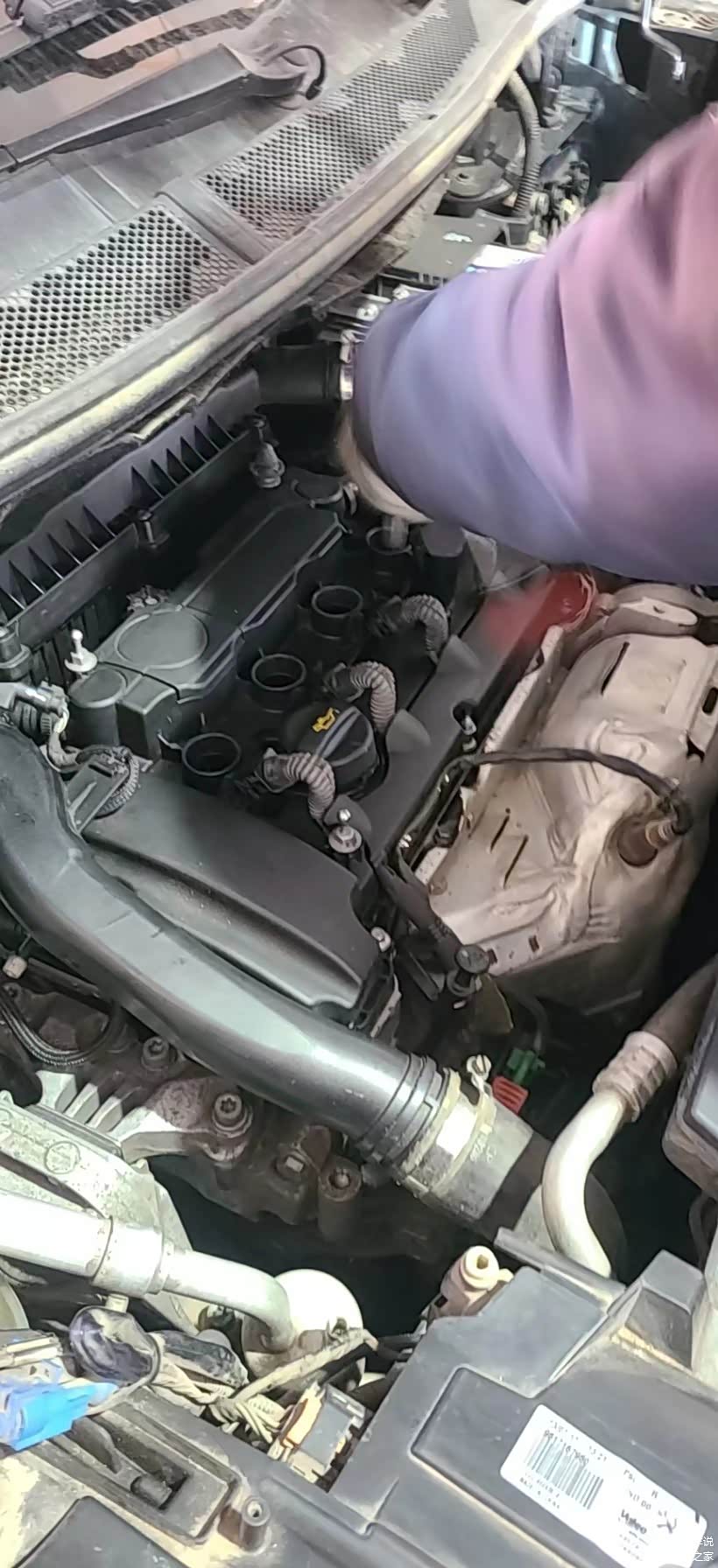 准备将内窥镜伸入缸内，检查修复成果