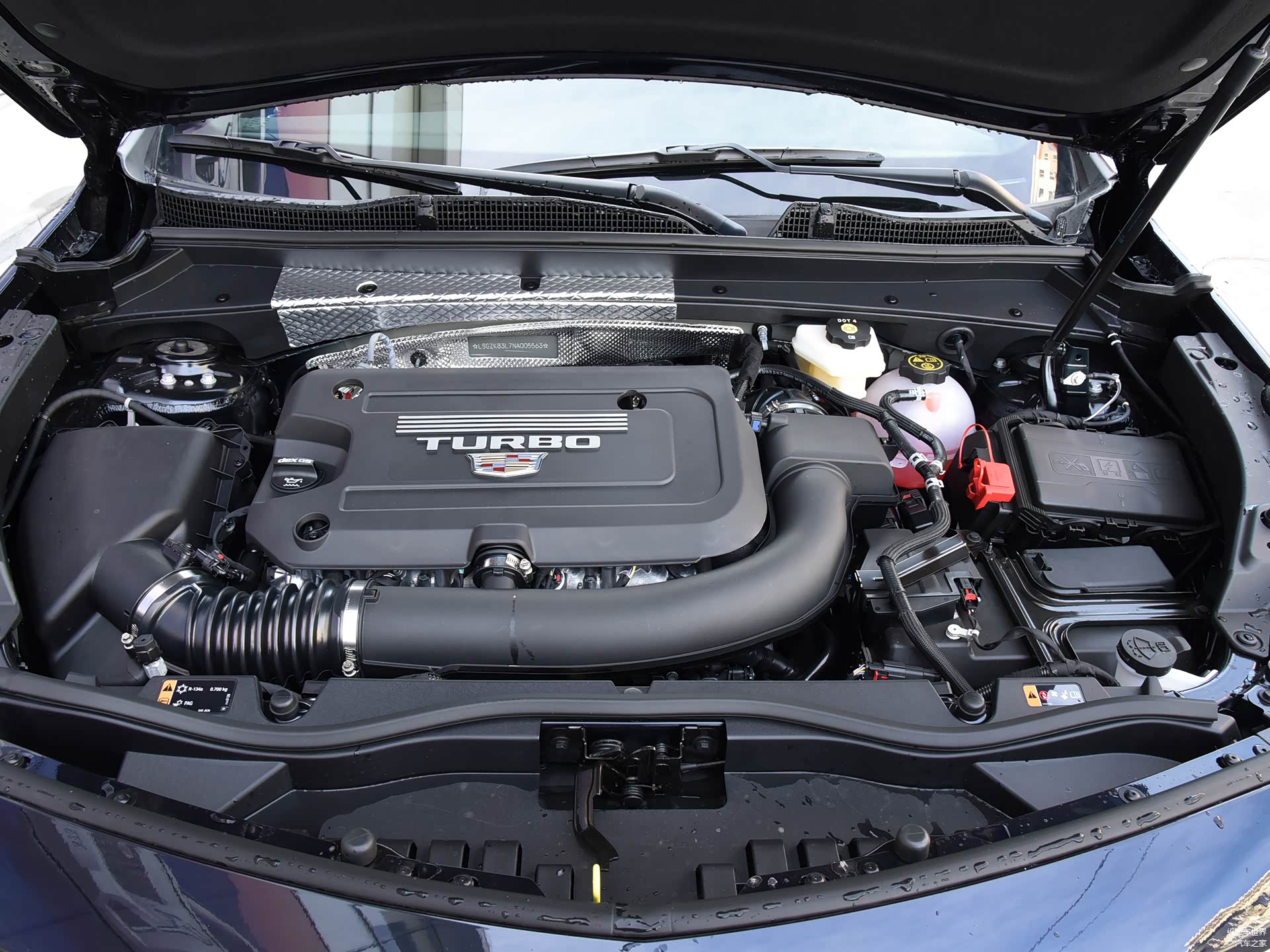 /引自汽车之家图库