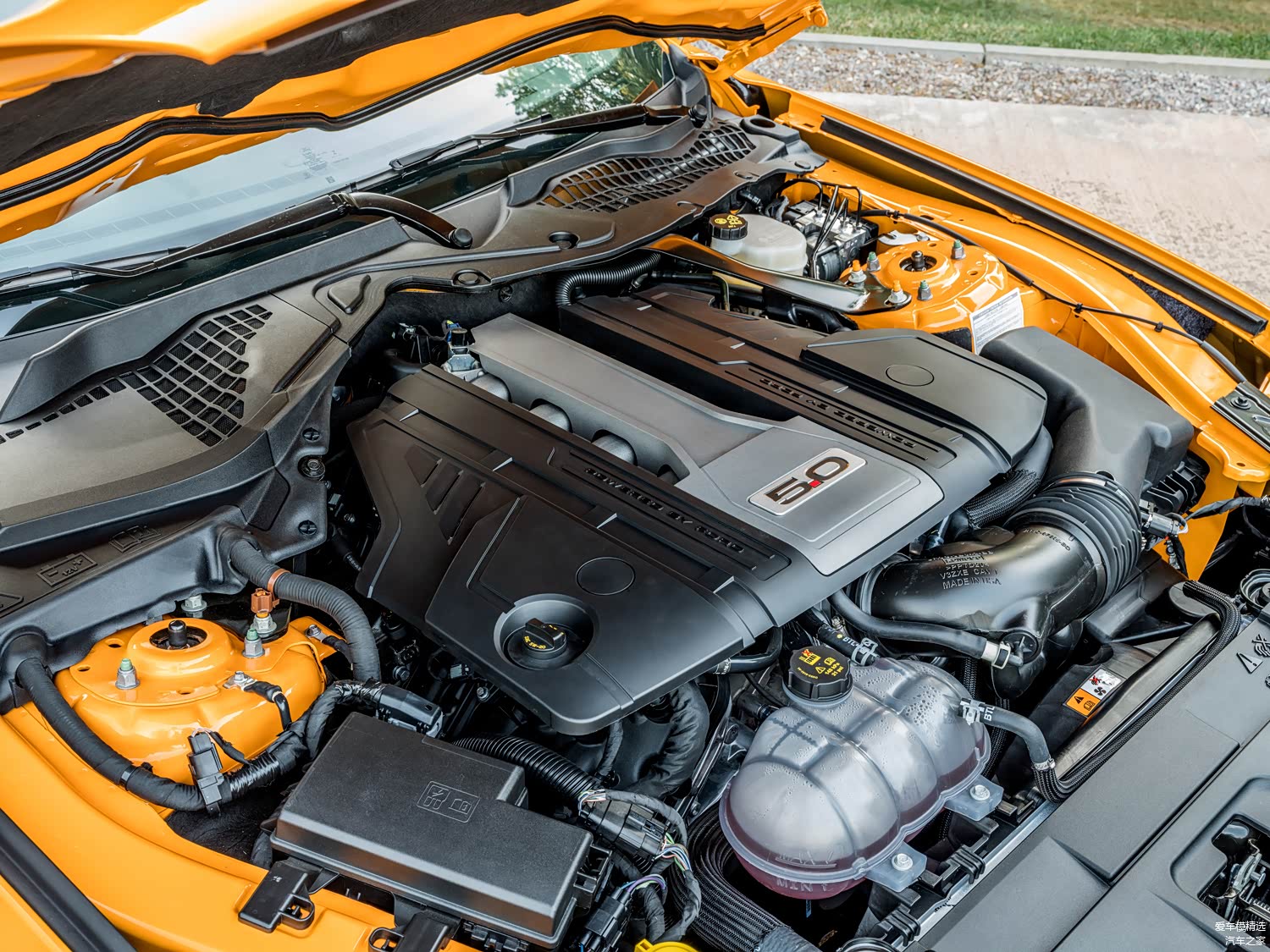 实车参考图（顶巴为选配）