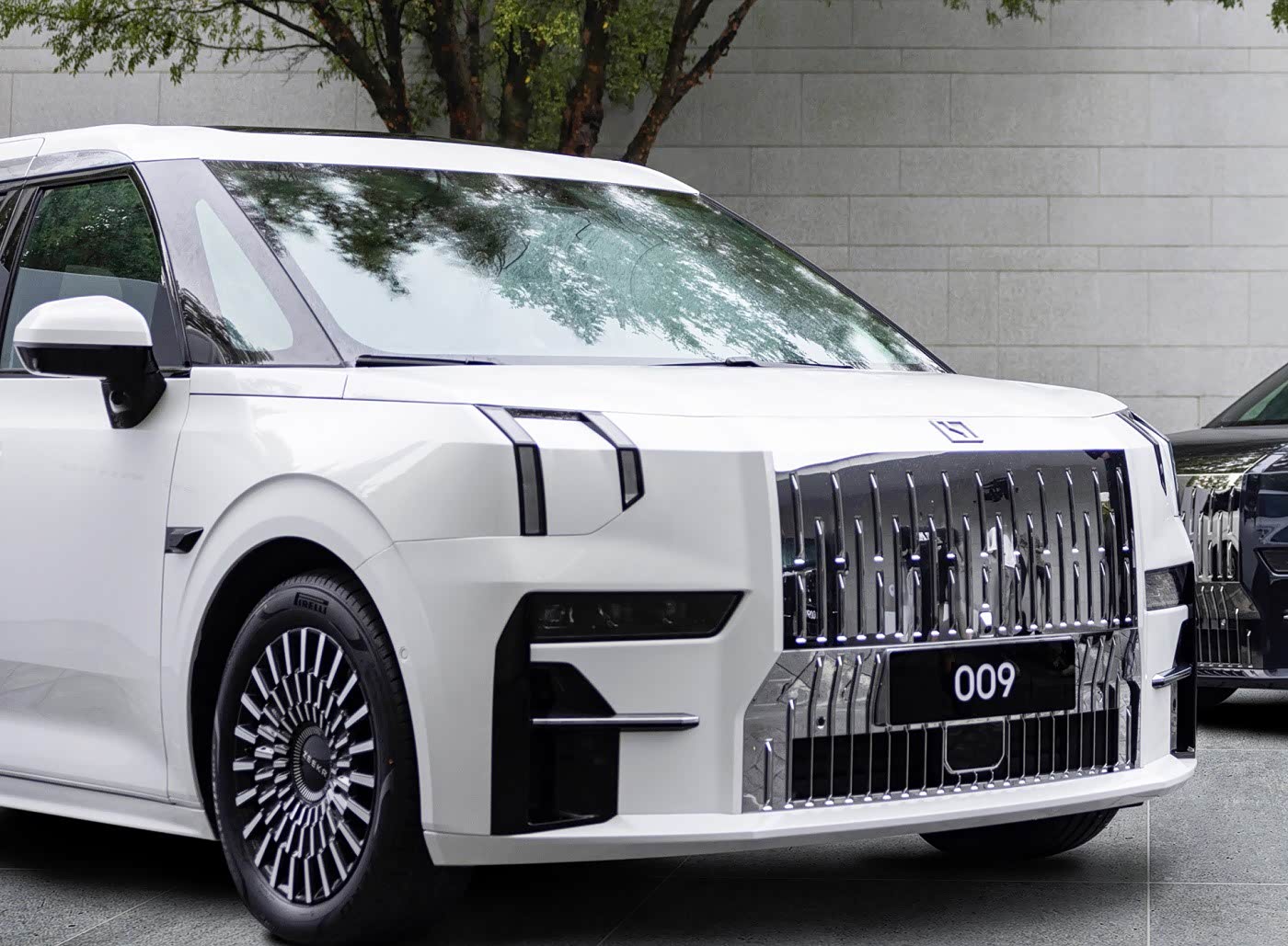 50万级高端中大型新能源MPV，ZEEKR 009与腾势D9选哪个？_车家号_