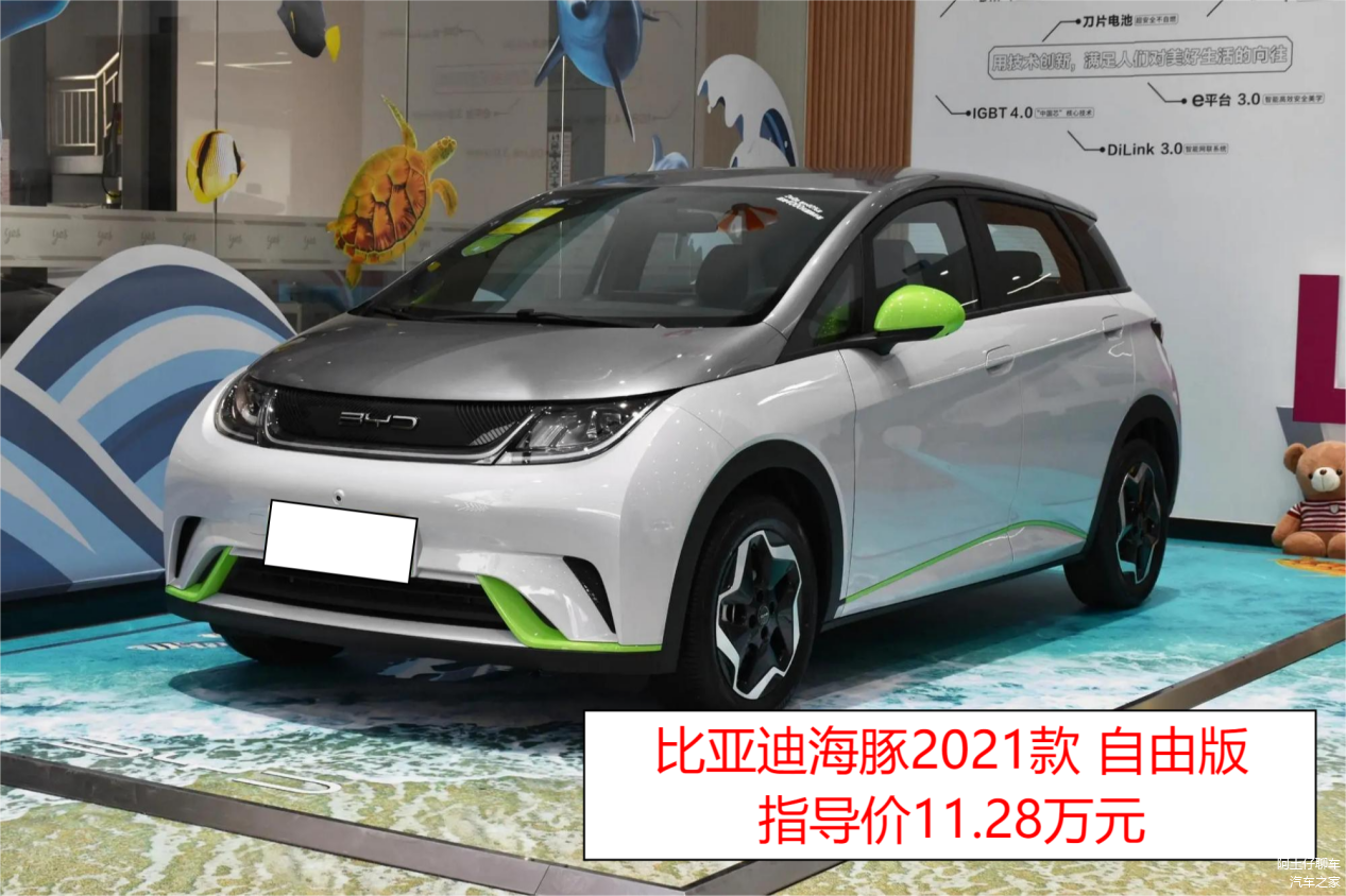 比亚迪海豚