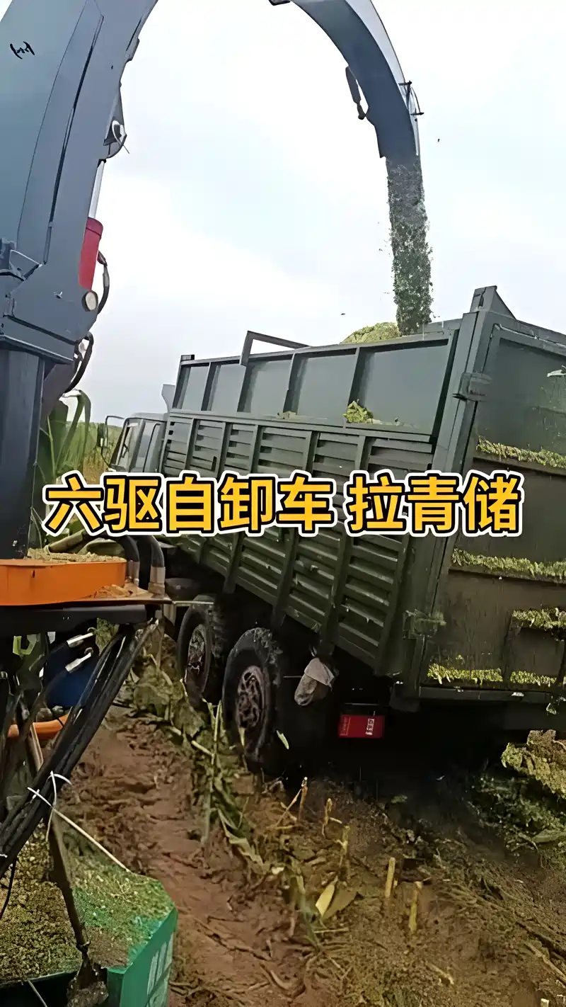 东风六驱自卸车拉青储 太给力