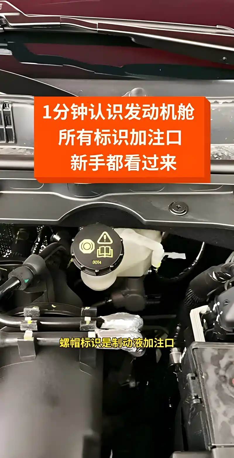 1分钟教你认识,汽车发动机舱所有标识加注口