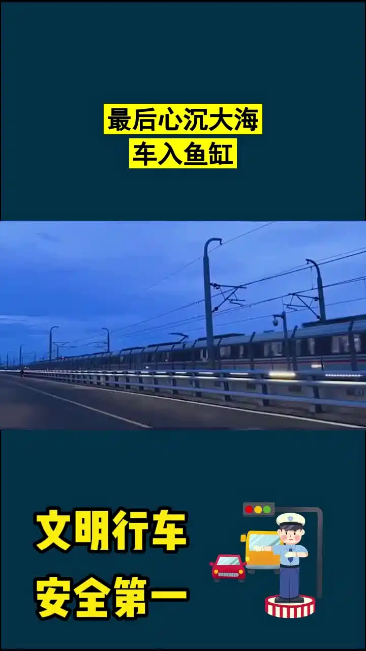 最后心沉大海车入鱼缸