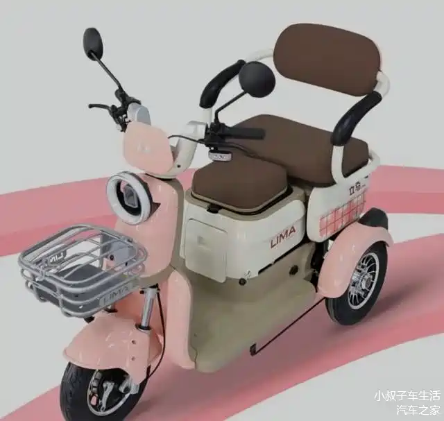 家长的接娃神车,小巧好骑,实用经济,2款多功能三轮车亮相!