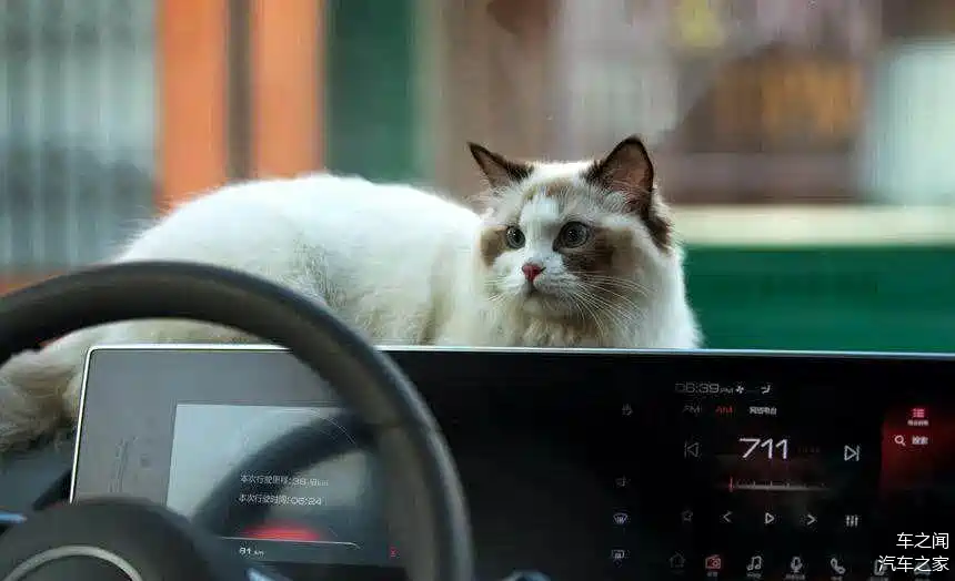 欧拉白猫正式上市,售价7.58-8.88万元_车家号_发现车生活_汽车之家