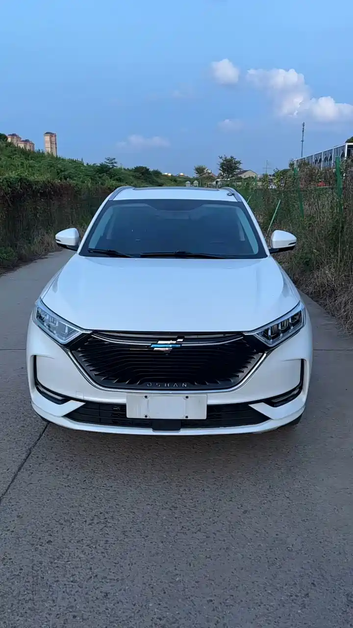 20年欧尚x7,原版车况,车子开的舒服不得了