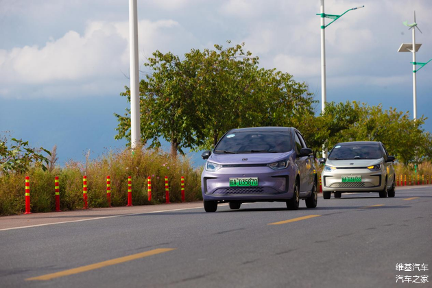 江汽集团思皓E10X花仙子正面图