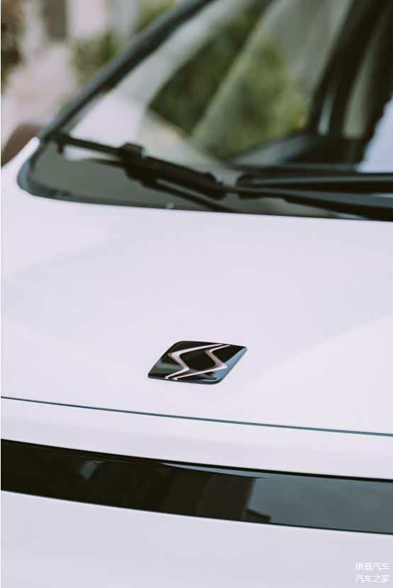 江汽集团-思皓闪电标