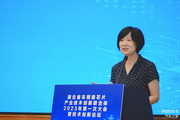 湖北省科技厅二级巡视员王东梅致辞