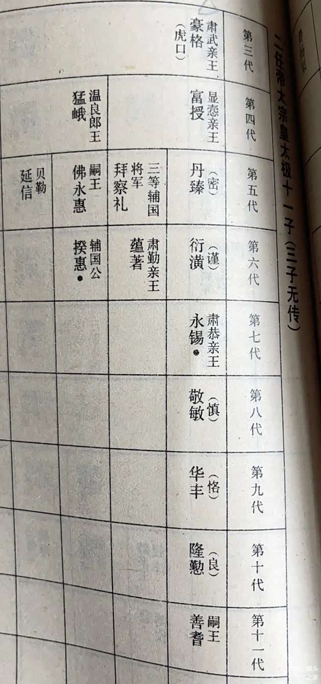 肃亲王一系传承（来自柏杨作品）