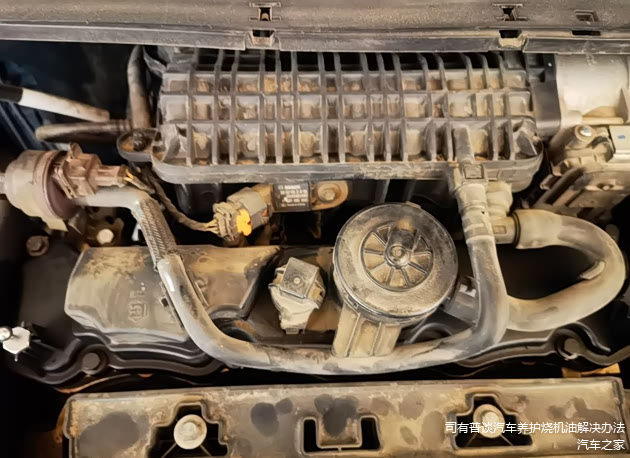 气门盖有轻微洇油，对于116000公里的车发动机，我不觉得这是问题。