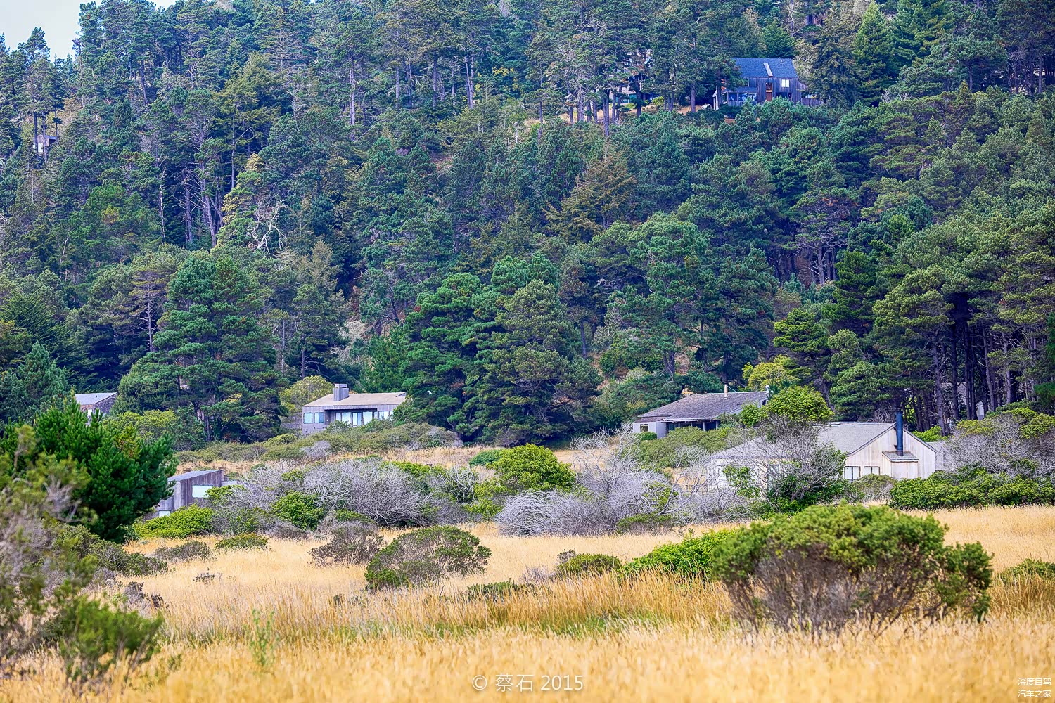 我们壮着胆子开了进去，走了一半便退了回来，在美国，私人领地神圣不可侵犯，会吃枪梭子滴