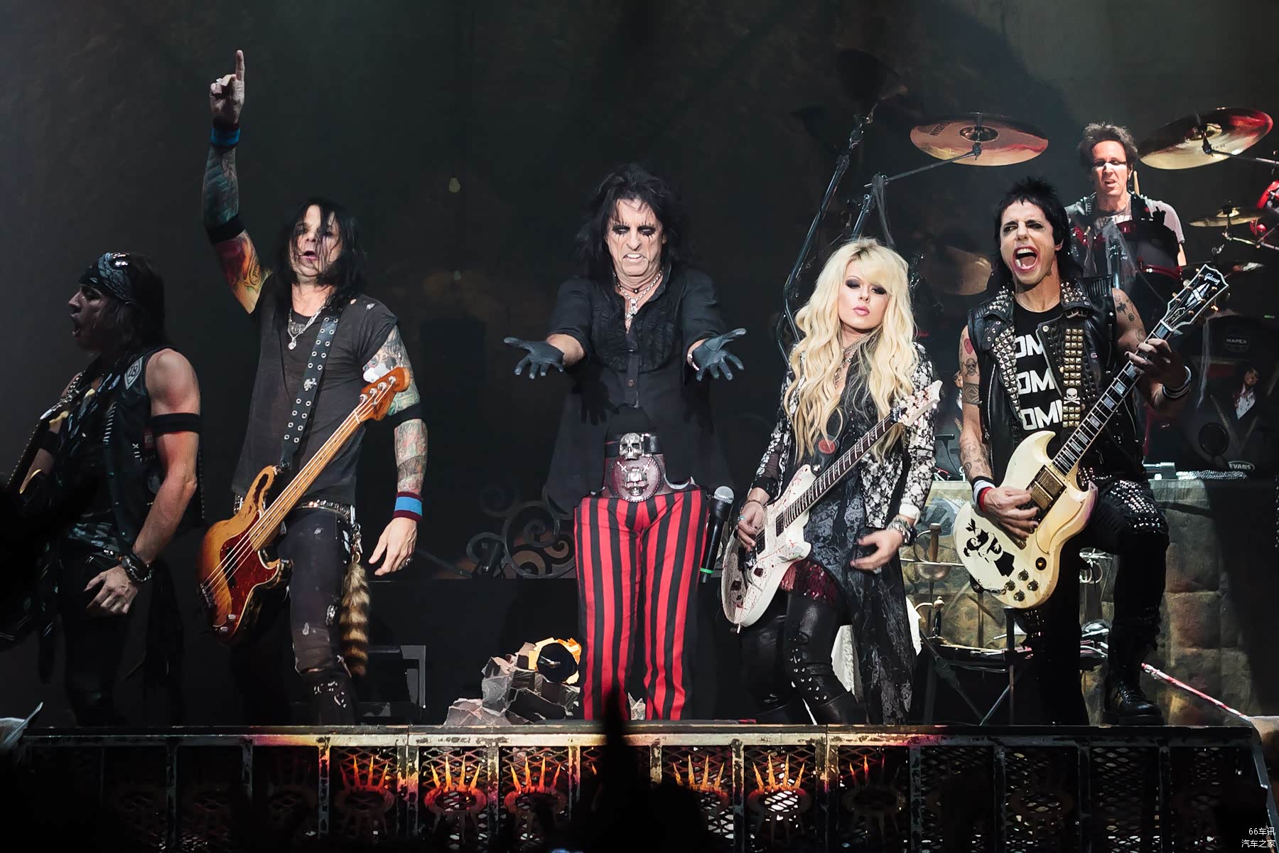 大猩猩：Alice Cooper 
哈蒙：也可笑