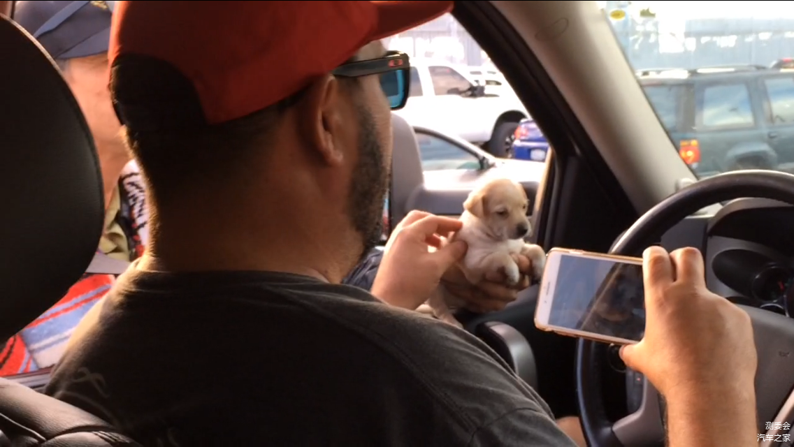 甚至还有卖狗仔的。。