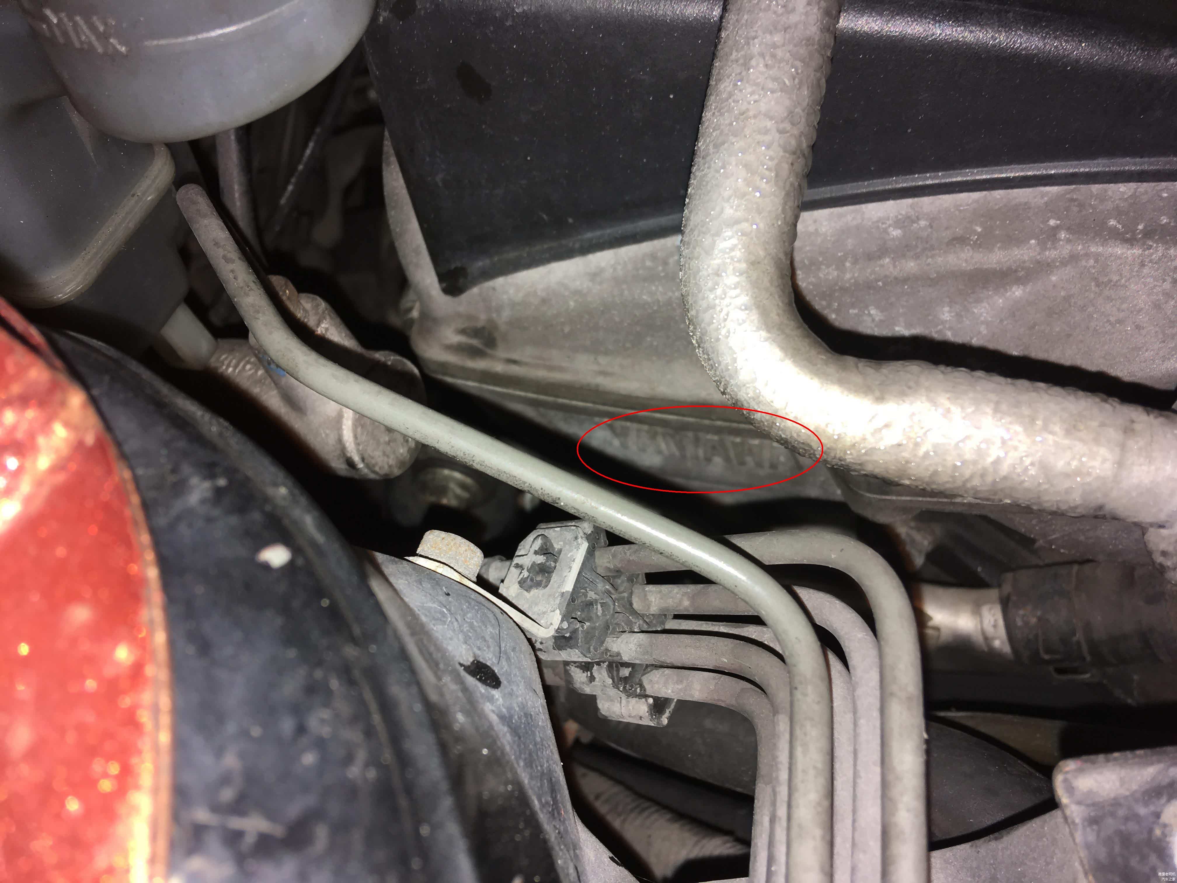 我已经尽力拍了