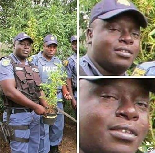 是不是很烦？你总不能一直扛着几百吨的东西出门吧？我不要紧，但是油费要紧啊！