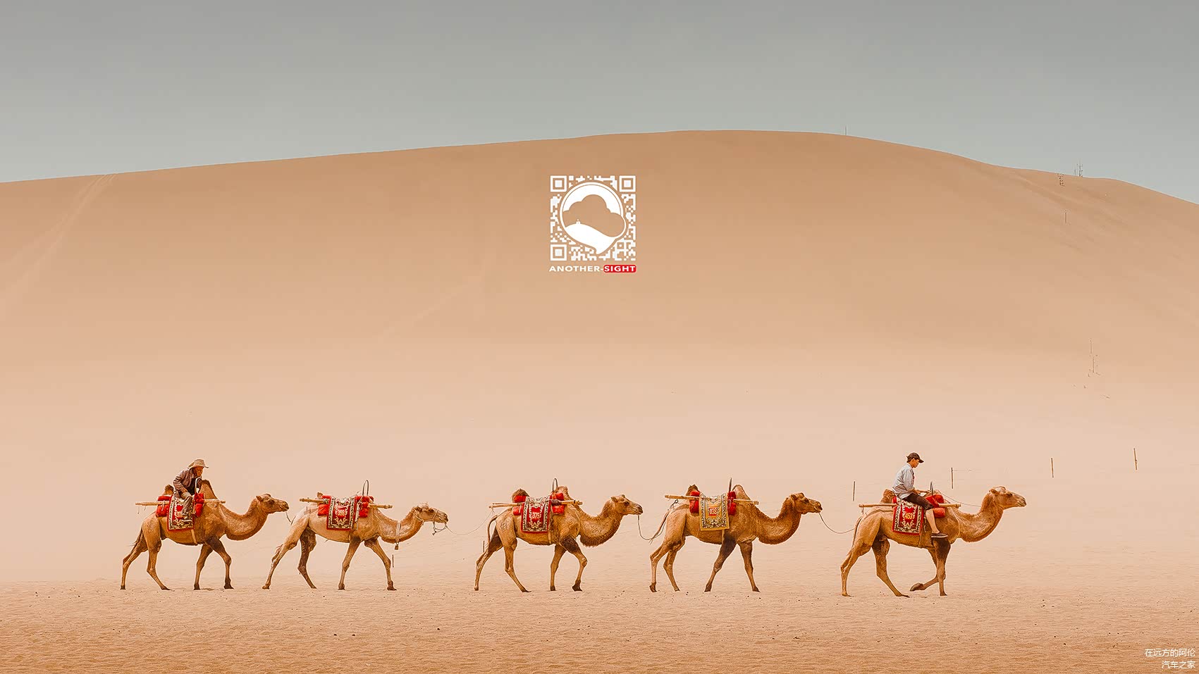 单人单车环游中国第一季
鸣沙山的驼队