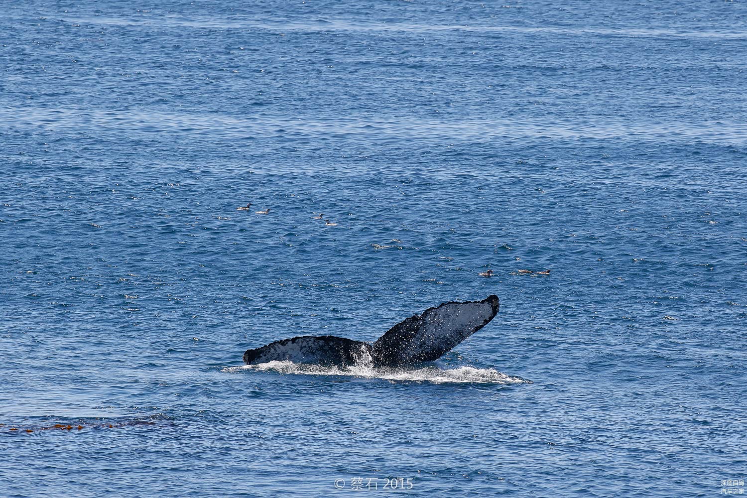 Tips:由Leggett（莱格特）沿1号公路直行40公里，大约一小时车程。