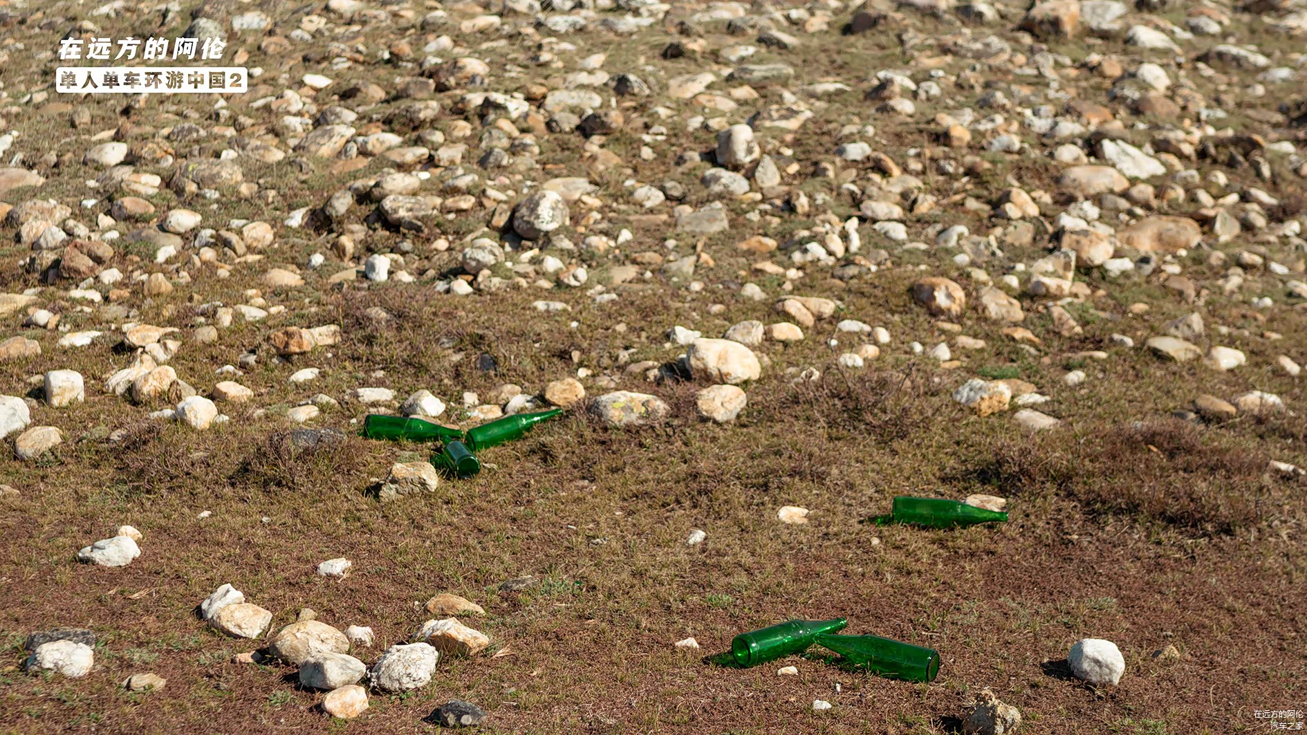 周围随处散落着牧民丢弃的酒瓶。