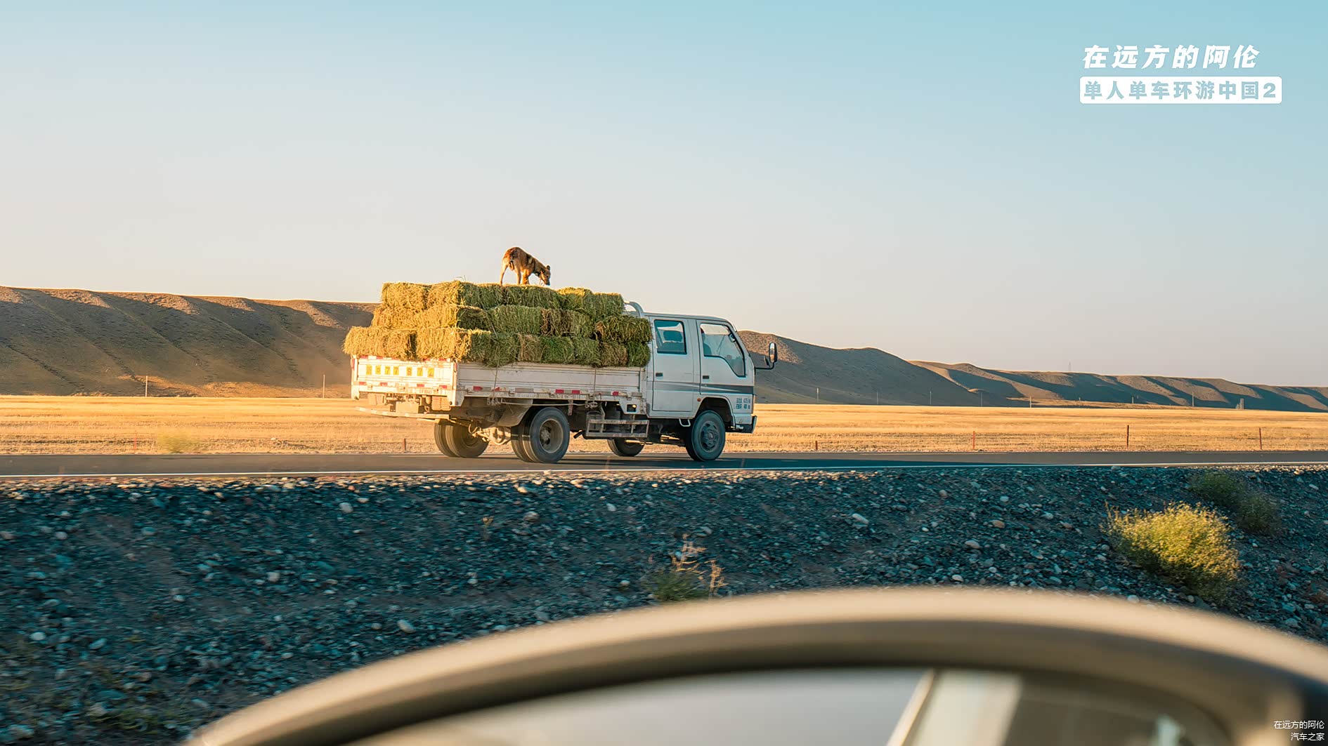 我一直觉得这狗肯定是认为自己在玩滑板