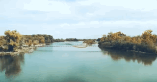 使用无人机的指点飞行功能进行拍摄，但是要注意的是，智能避障系统可能无法识别到钢缆，所以要控制飞行高度