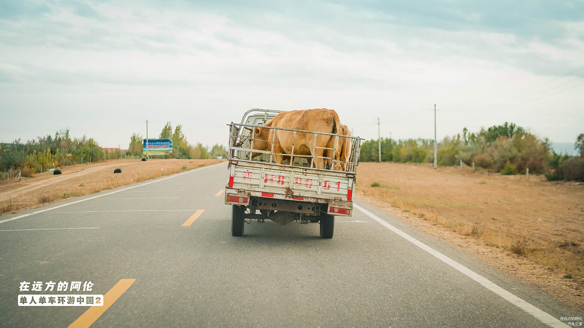 我后来在超市里买了几个卤蛋，一口吞，咕咚咕咚灌了几口水后，发动大白胖的引擎，往东边的北屯市驶去。