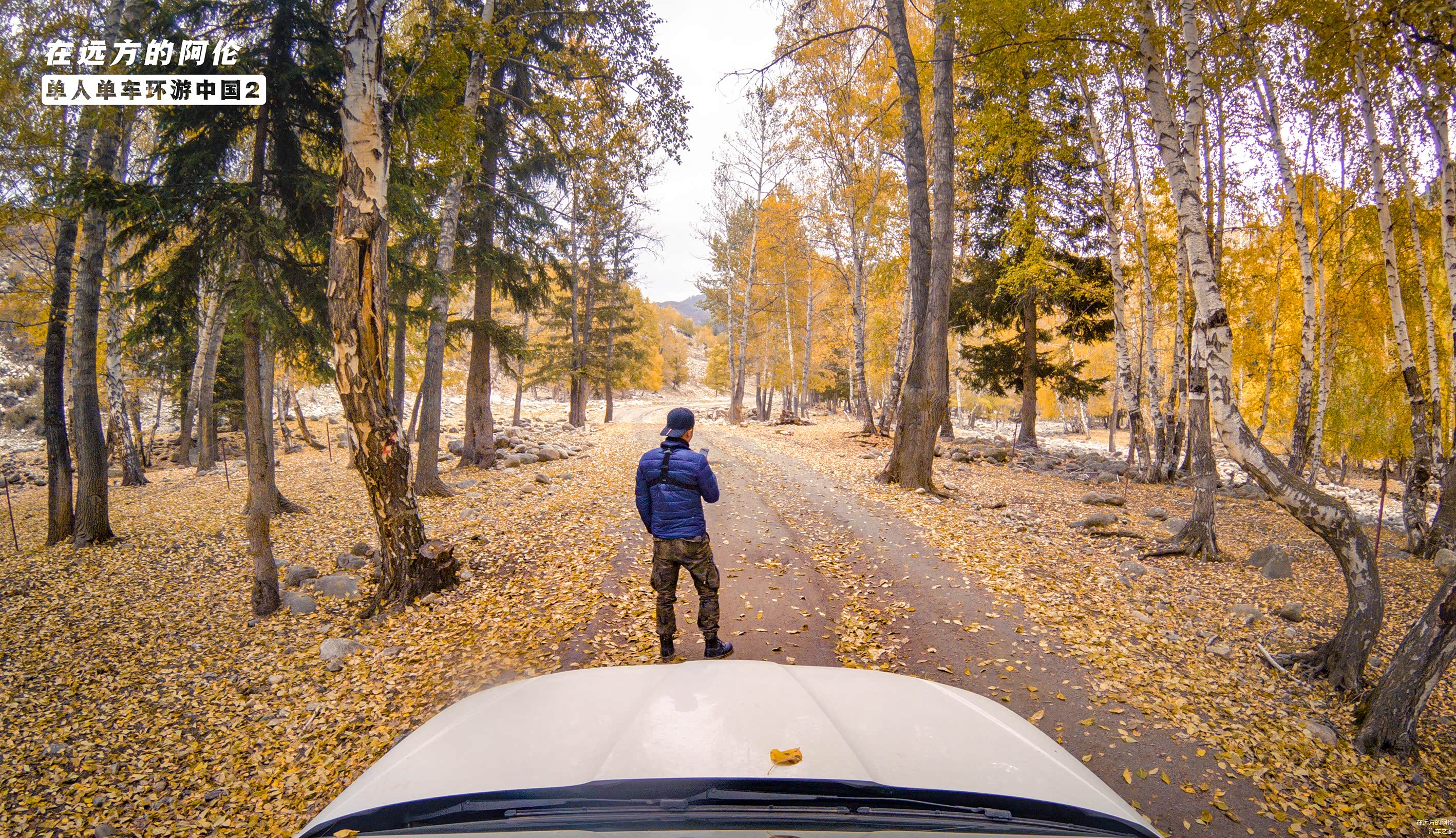下午两点，通过检查站后我站在桦树林小道