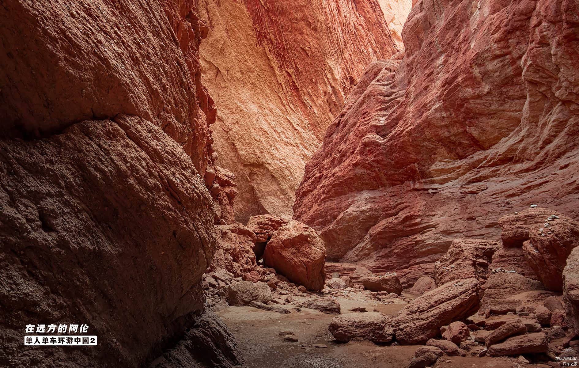直到最后，已经没有路了，我就干脆贴着崖壁往上爬，爬到爬不动了，被一块巨石挡住了去路，我就懒得爬了。