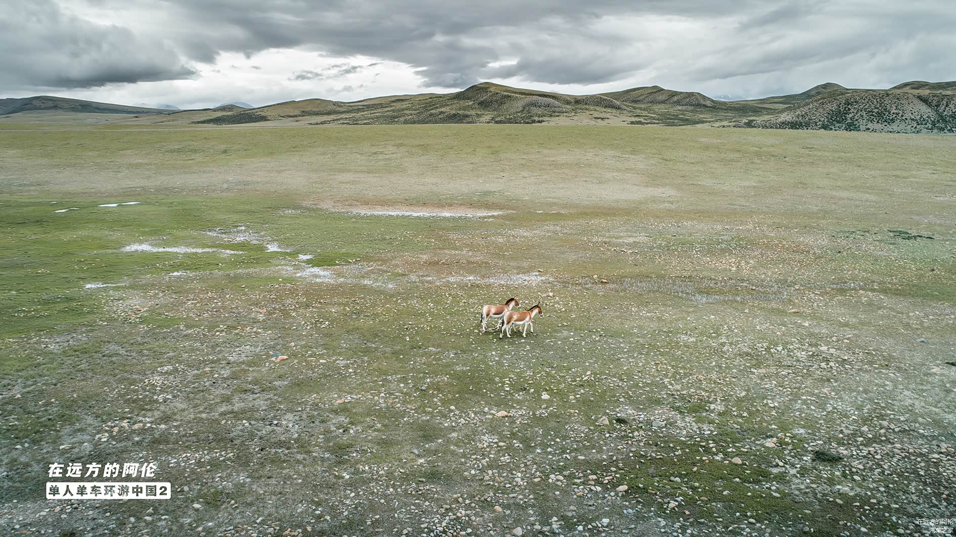 呃........好吧，看来它们已经做了。