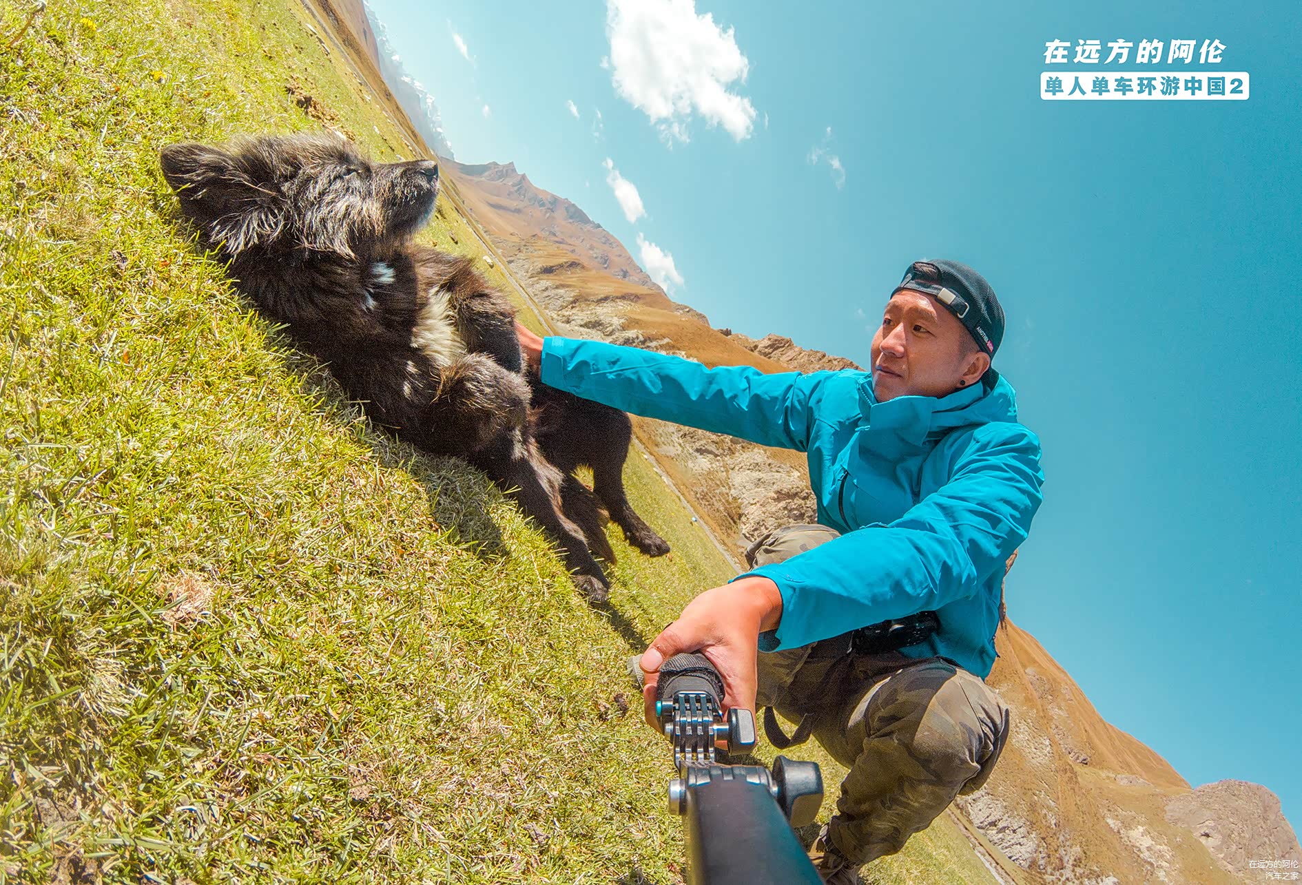 我跟这位小黑成为了好朋友