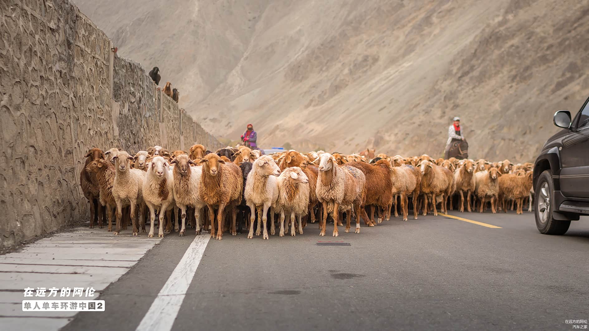 又碰到早上离开那个转场的队伍