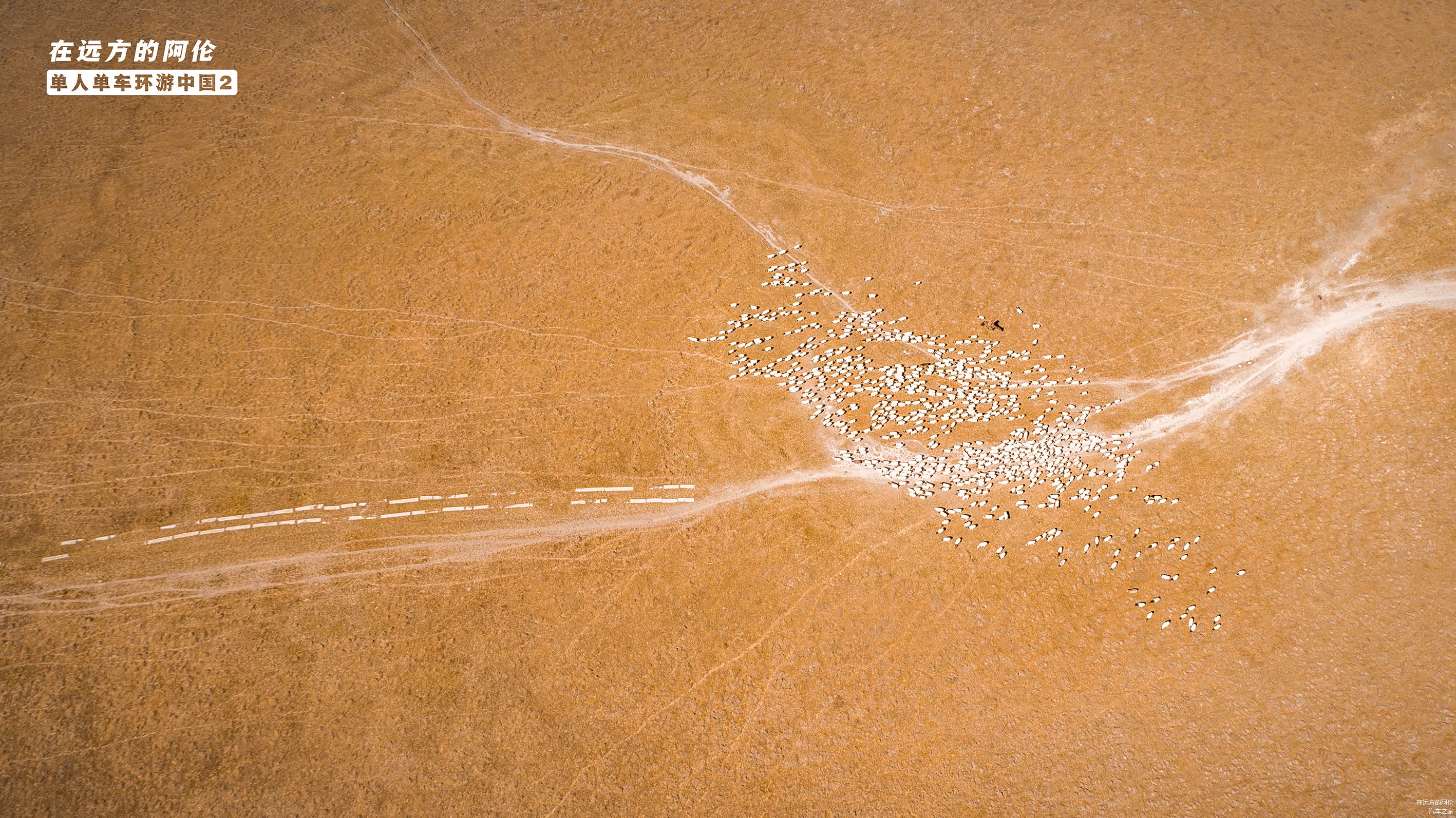 牧民赶在转场前喂饱羊群