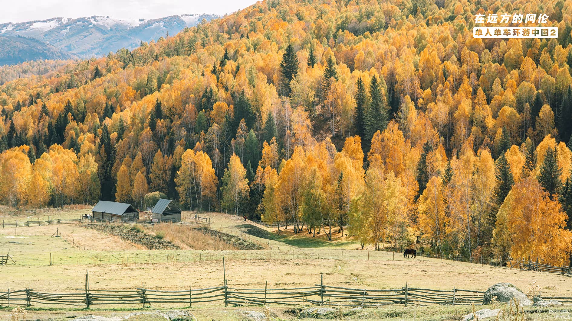图瓦人的小村落，当地人也都有做生意的意识