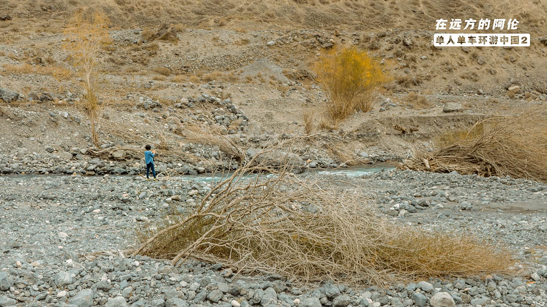 终于看到了一个妹纸！
哎...可惜镜头焦距不够长呀，我猜不透她多大年纪...